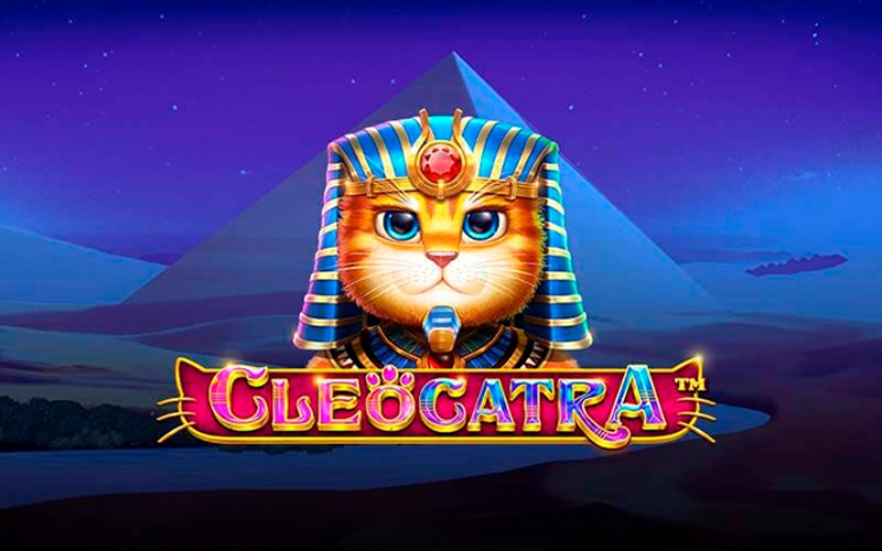 Cats jogo