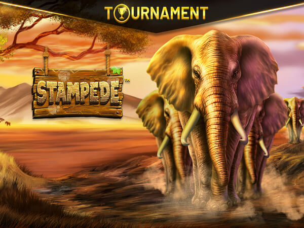 Cadastre e ganhe bônus para jogar slots